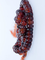 Horn mala