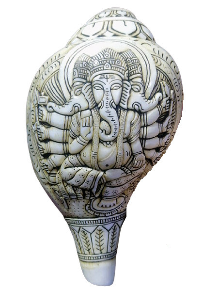 Carved Conch Shell