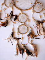 5-in-1 dream catcher