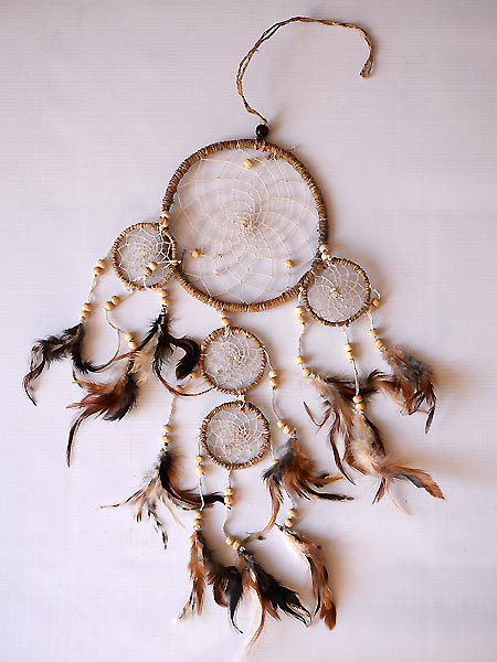 5-in-1 dream catcher